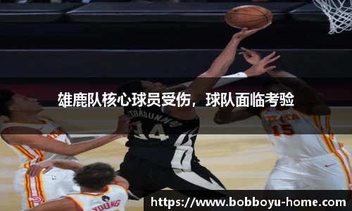BOB博鱼app