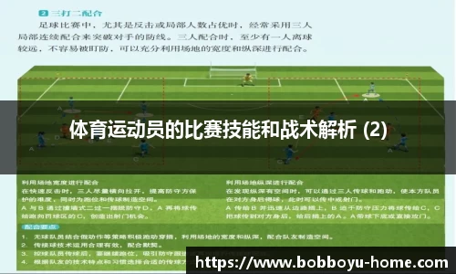 BOB博鱼app