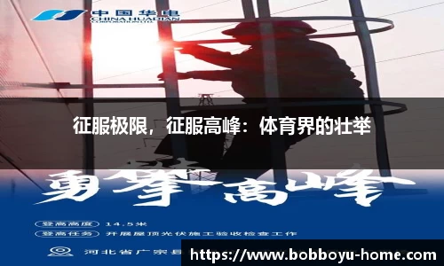 BOB博鱼app